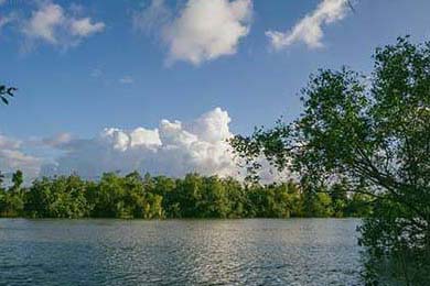 世界田径挑战赛中，王春雨勇夺女子800米金牌，世界田径挑战赛中,王春雨勇夺女子800米金牌的是谁