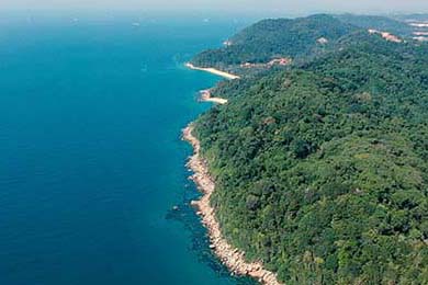 LCK教练战术调整成效显著，lckdk教练是谁