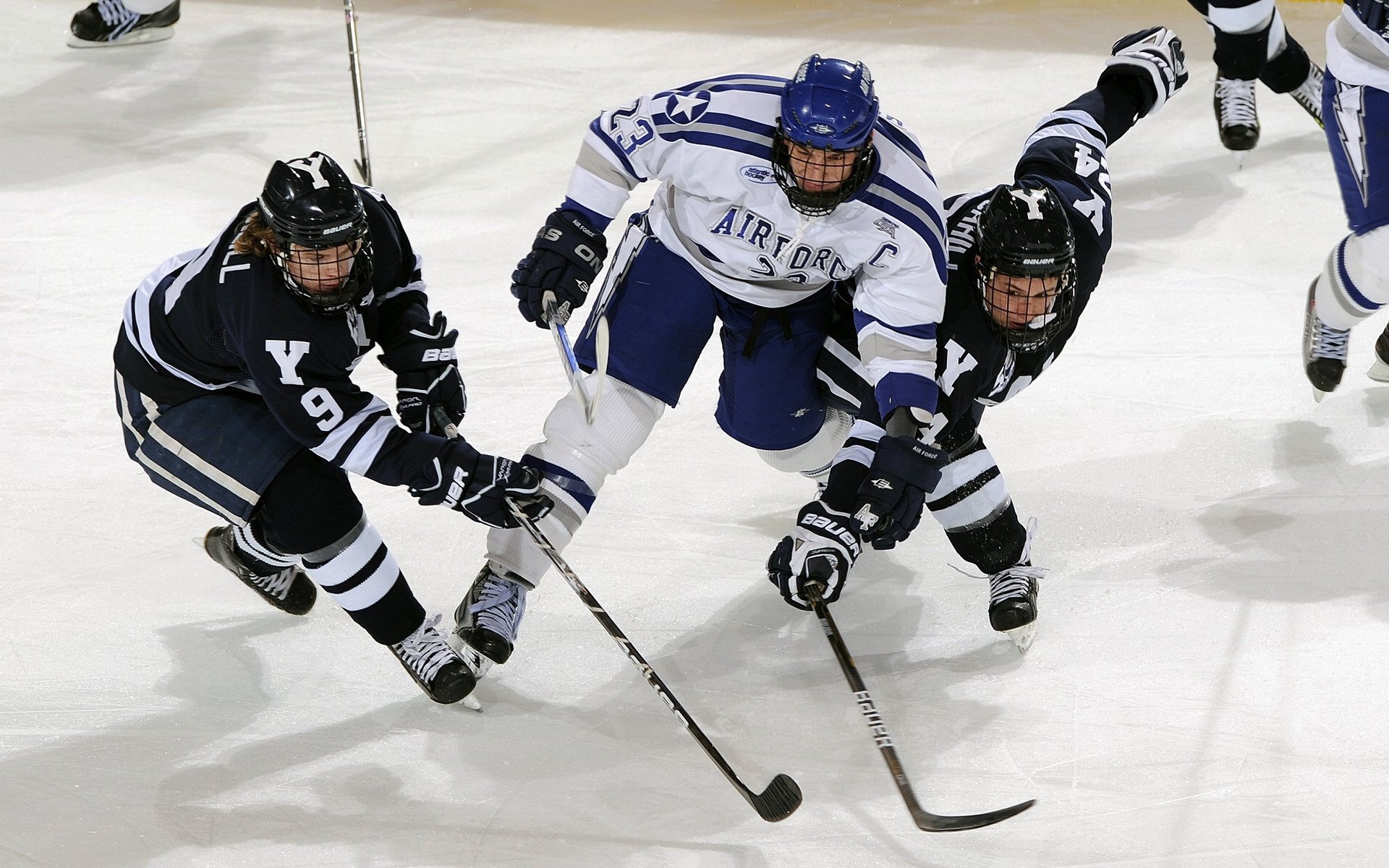 新人崛起:本赛季最令人惊喜的年轻球员,新人崛起_本赛季最令人惊喜的年轻球员有哪些